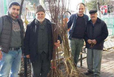 Meyve fidanları Nilüfer’den