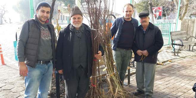Meyve fidanları Nilüfer’den
