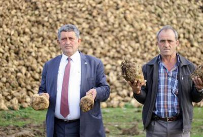 Pancar çiftçinin yüzünü güldürdü