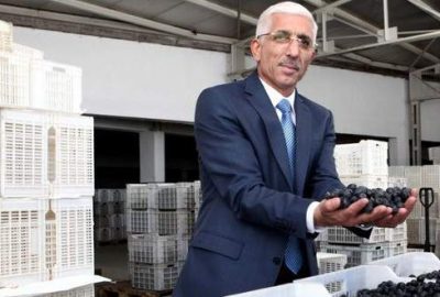 ‘Zeytinde zam’ iddialarına tepki