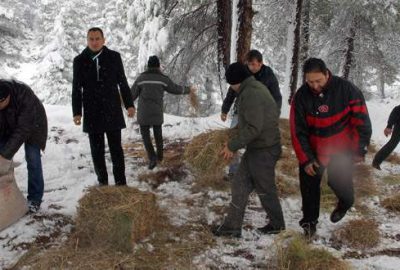 Yaban hayvanları için doğaya yem bırakıldı