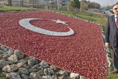 Mustafakemalpaşa’ya 256 bin kış çiçeği