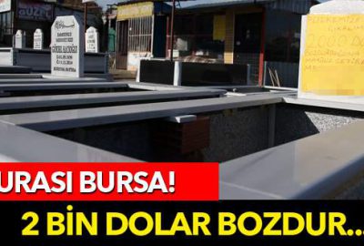 ‘Dolarını bozdur mezar taşını götür’