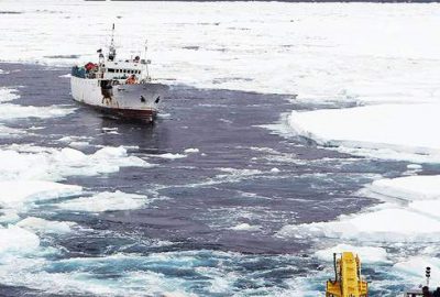 Kutuplardaki buzul miktarında rekor düzeyde düşüş