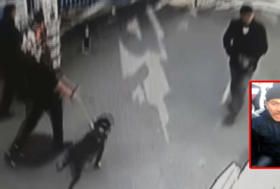 Bursa’da pitbull dehşeti!