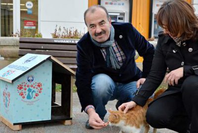 Belediyeden kedi evi