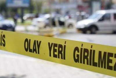 Kayınpederini uykuda tırpanla öldürdü