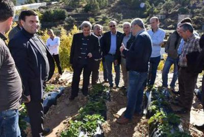 İnegöllü üretici seraları inceledi