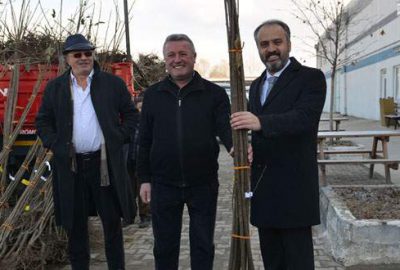 İnegöl’de üreticiye kestane fidanı