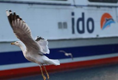 İDO’dan sefer iptalleri