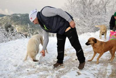 Uludağ’daki aç hayvanlara yiyecek bırakıldı