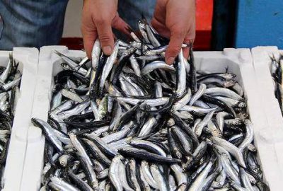 Soğuk hava balık tezgahlarını vurdu