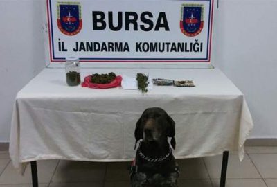 Zehir tacirine ‘Roket’li darbe