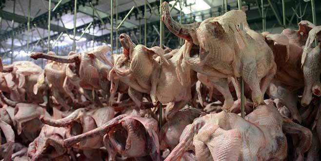 Hindiyi yemiyor satıyoruz