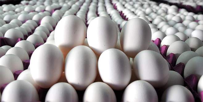 Yumurta üreticileri talebe yetişemiyor
