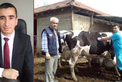 Belgesiz hayvan satın almayın