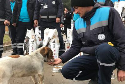 Bursa’da sokak hayvanlarına yem bırakıldı