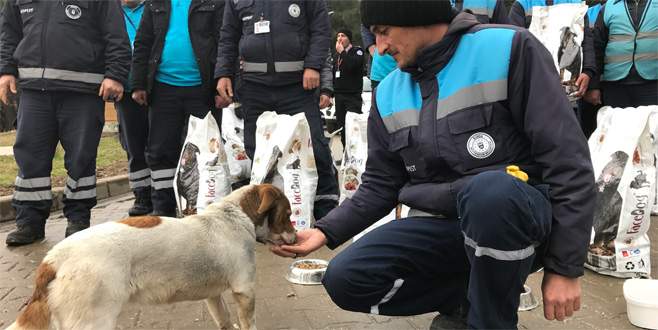 Bursa’da sokak hayvanlarına yem bırakıldı