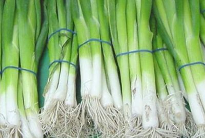 Yeşil soğan ve sivri biberin tadı kaçtı