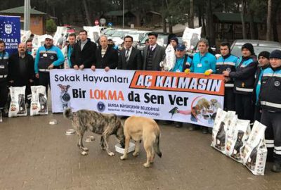 Sokak hayvanlarına 5 ton yem dağıtıldı