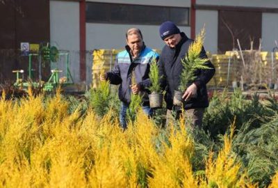 Nilüfer Belediyesi 19 bin fidanı ücretsiz dağıtıyor