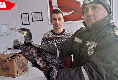 Avcılar vurdu, itfaiye kurtardı