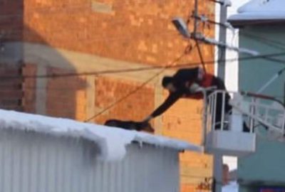 Kütahya’nın Tavşanlı ilçesinde çatıda mahsur kalan bir köpek, itfaiye ekiplerinin