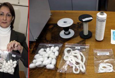 Bursa ipeğinden ameliyet ipliği