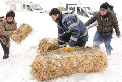 Yaban hayvanları unutulmadı