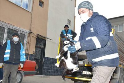 Baruthane’de kedi operasyonu