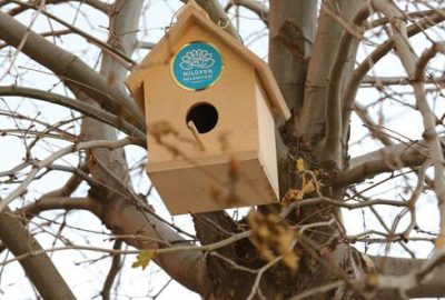 Kuşlara sıcak yuva