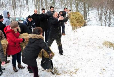 Doğadaki hayvanlara yiyecek bırakıldı