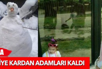 Geriye kardan adamları kaldı
