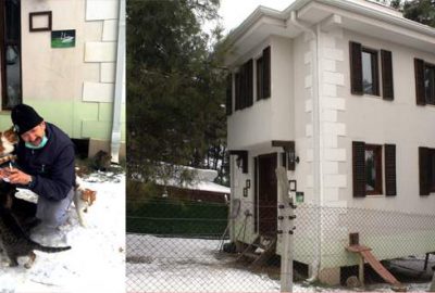 Kediler kışı dubleks villada geçiriyor