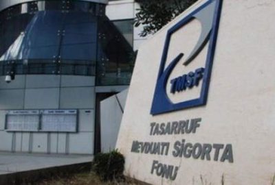 TMSF’deki şirketlere atamayı Bakan yapacak