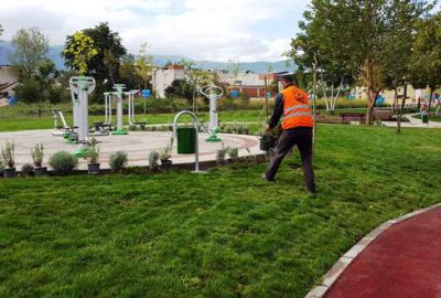 Parkları kışlık çiçekler süslüyor