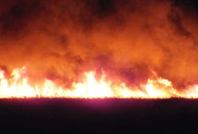 Göksu Deltası yanıyor, kimse müdahale edemiyor!