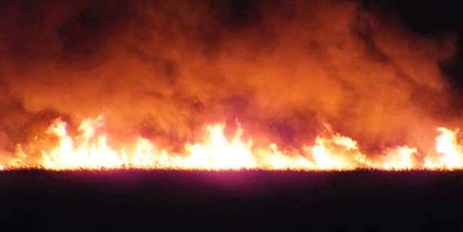 Göksu Deltası yanıyor, kimse müdahale edemiyor!