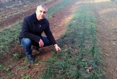 Yenişehirli çiftçiye safran önerisi