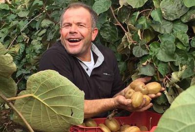 Orhangazi’de sadece kivi üreticisi güldü