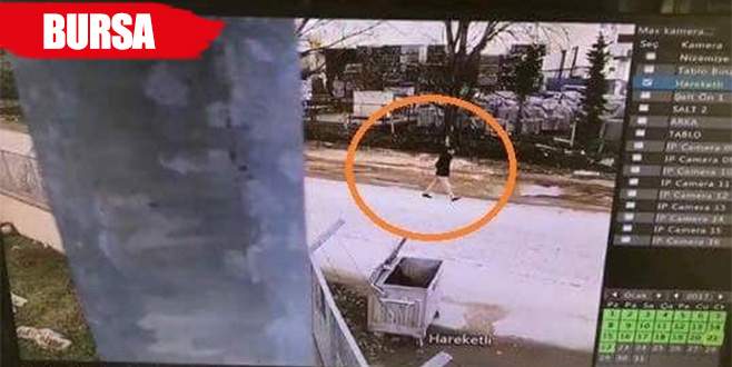 Oto faresi güvenlik kameralarına takıldı