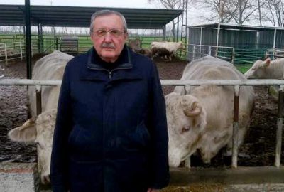 Kırmızı et üreticileri büyük mezbaha istiyor