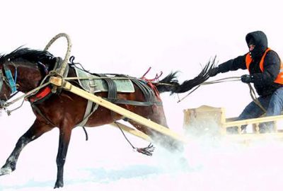 Uludağ’da kızaklı at yarışları nefes kesti