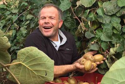 Orhangazi’de sadece kivi üreticisi güldü