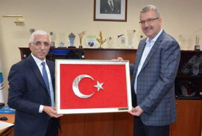 Belediyeden zeytincilik atağı