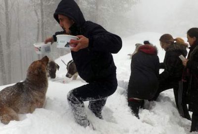Karda sokak hayvanlarına sıcak yardım eli