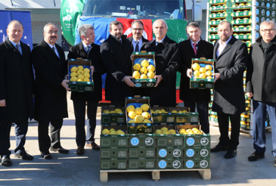 Bursa’dan Hollanda’ya ayva ihracatı