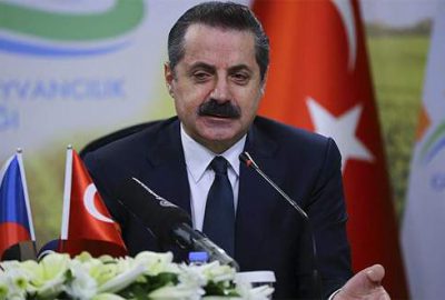 Köydeki Ayşe Teyze’nin sütü ile uğraşmaya başladılar