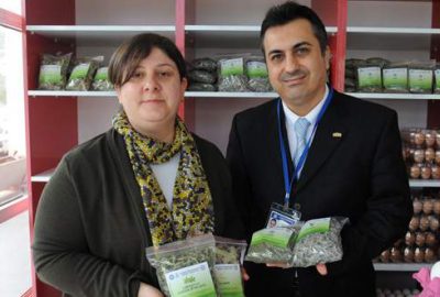 Şifalı çaylar UÜ’den