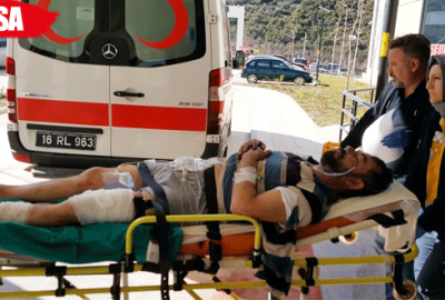 Zeytin fidanı çalan kardeşleri uyarınca tüfekle vuruldu